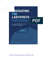 DAMA - Navigating-The-Labyrinth 5db75d9f03100 e