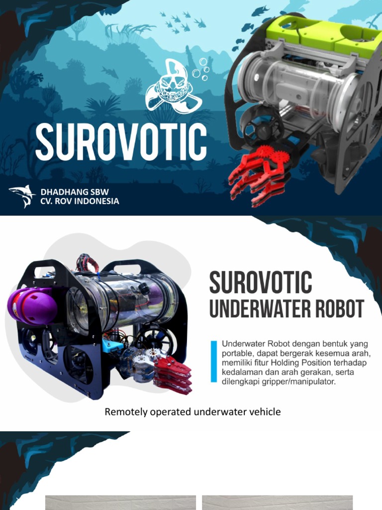ROV OVERVIEW - Pengenalan | PDF | Griya & Taman | Komputer