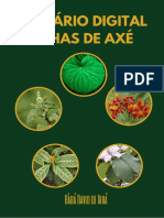 Herbário Digital Folhas de Axé: Bàbá David de Airá