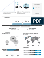 Plantilla Curriculum Vitae 12