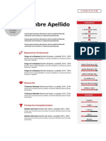 Plantilla Curriculum Vitae 14