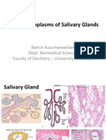 Penyakit - Benign Salivary Gland Tumor - Banun2021