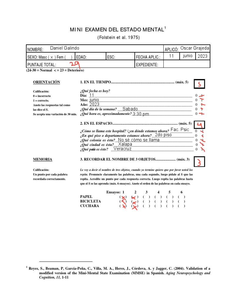 Mini Examen Del Estado Mental b479 | PDF