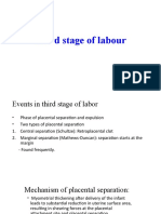 Third Stage of Labour