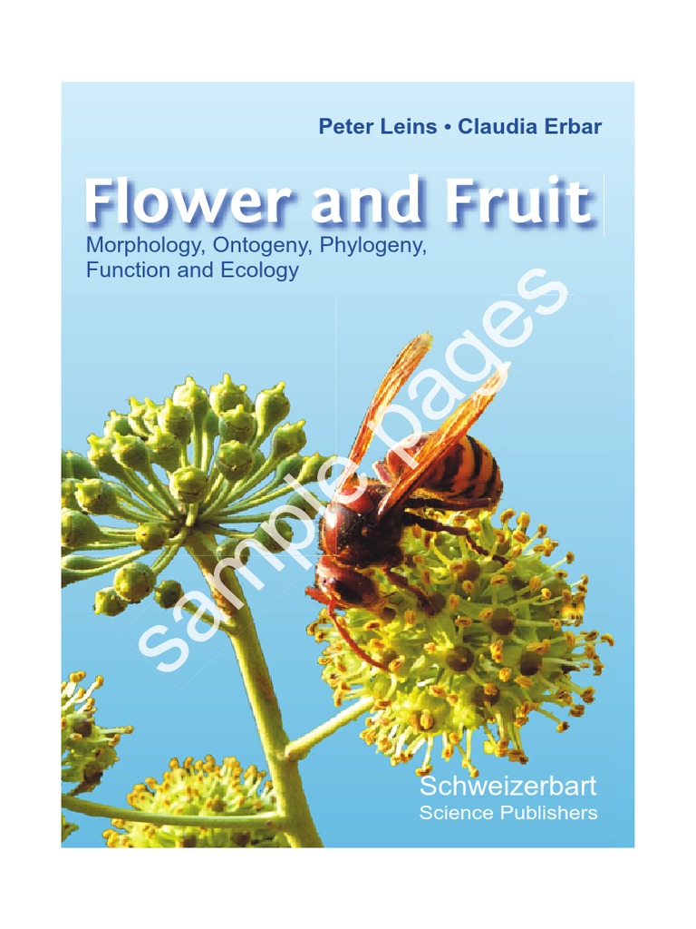 Leins Erbar Flower and Fruit ISBN 978-3-510 65261 7 181201001peter