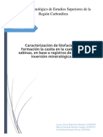 Caracterización de Litofacies en La Formación La Casita en La Cuenca de Sabinas-2