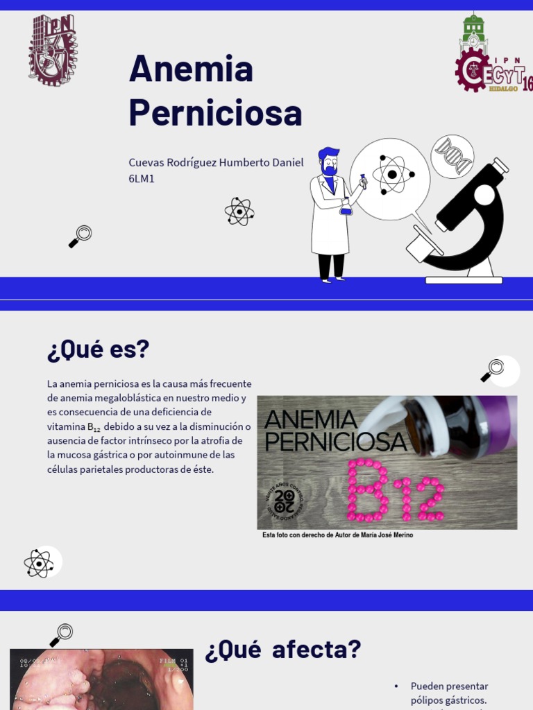Anemia Perniciosa | PDF | Medicina CLINICA | Medicina