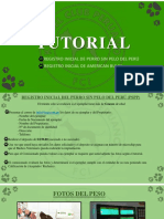 Tutorial de Registros Iniciales