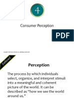 Topic 4 Consumer Perception