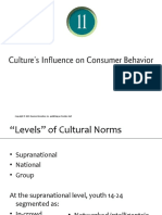 Topic 9 Consumer in Cultural Settings