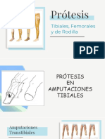 5 Prótesis MMII Tibiales, de Rodilla y Femorales