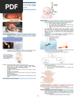 Orogastric Tube Feeding Checklist | PDF | Clinical Medicine | Medical ...