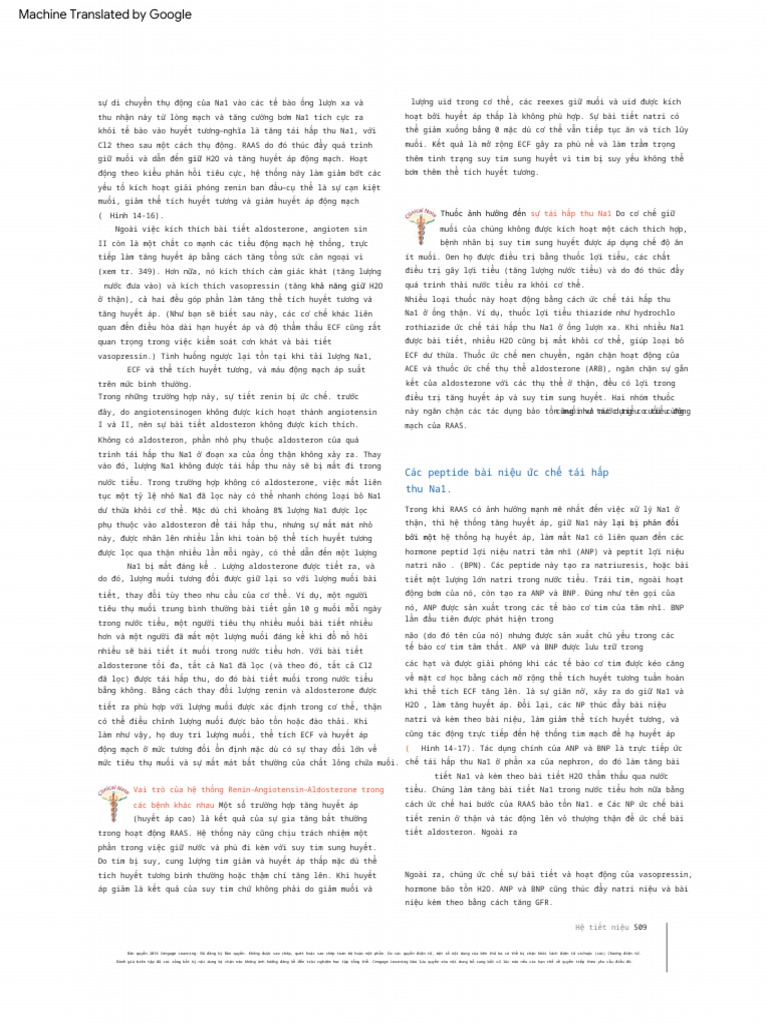 Humanor not? visual data 2