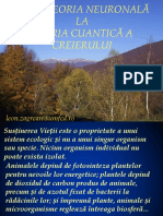 C 2,3 Conștiința, de La Teoria Neuronală La Teoria Cuantică