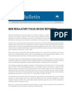 Esg Iia Bulletin New Regulatory Focus On Esg Reporting