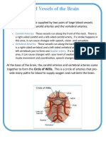 Blood Vessels of The Brain 1