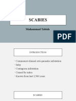 Scabies S