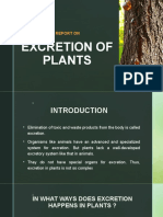 Excretion of Plants