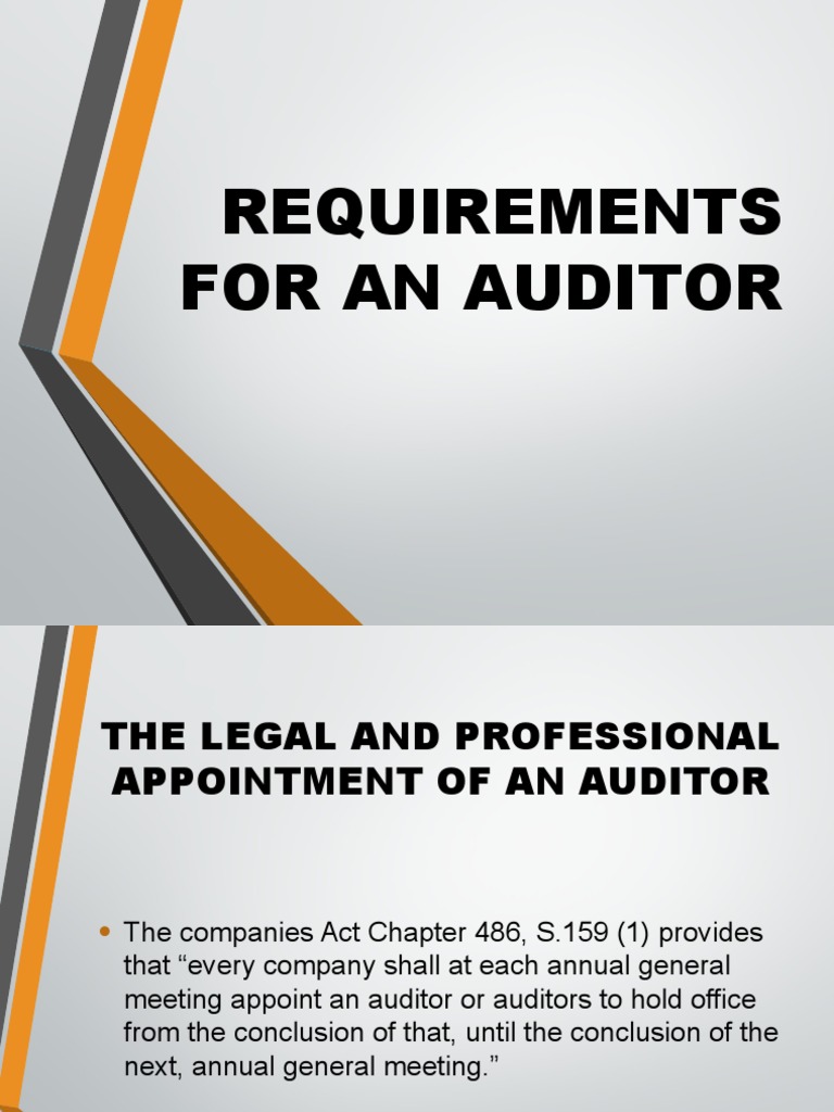Requirements For An Auditor PDF
