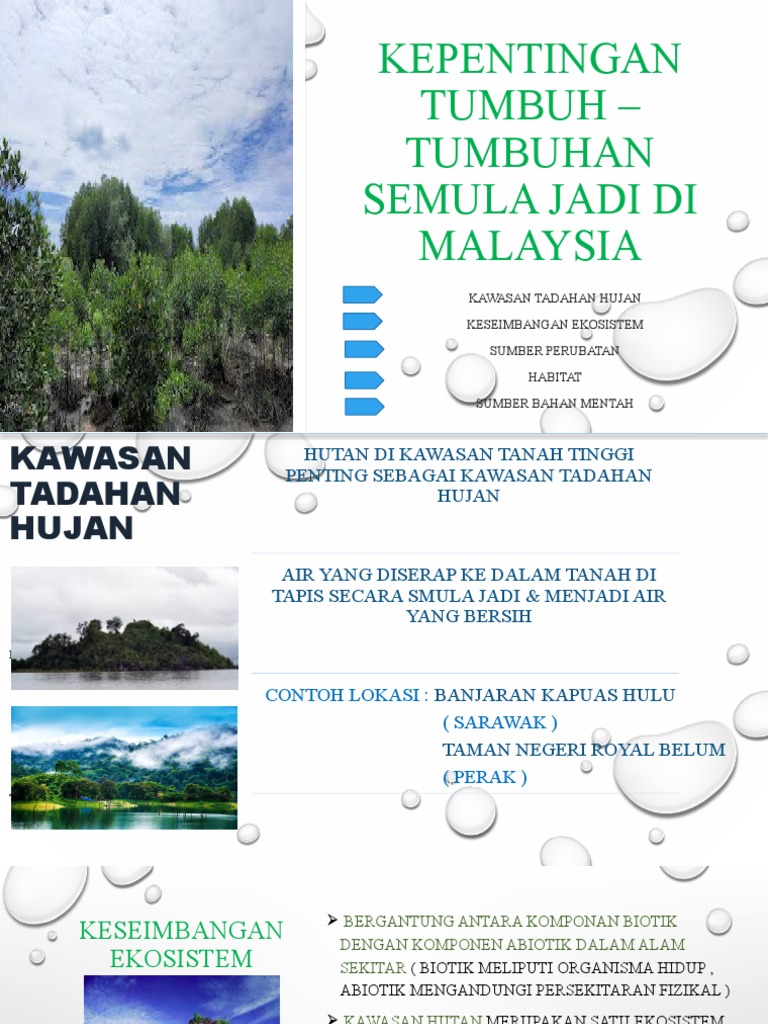 Kepentingan Tumbuh - Tumbuhan Semula Jadi Di Malaysia | PDF