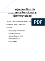 Trabajo Practico de Anatomía Funcional y Biomotricidad