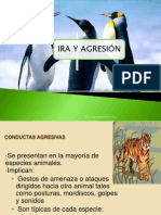 Ira y Agresión