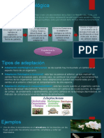 Adaptación Biológica Diapositivas