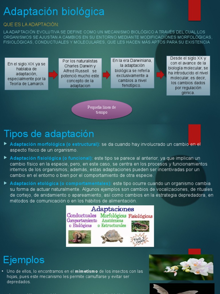 Adaptación Biológica: Conceptos y Ejemplos | PDF | Adaptación | Biología