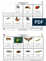 Vocabulario Proyecto Los Bichitos