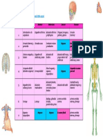 Contenidos de Anatomía Humana I PDF
