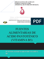 Diapositivas Deficiencia de La Vitamina b5 y b6nnn