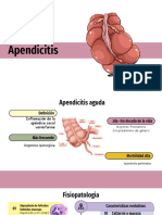 Apendicitis y Oclusion Intestina