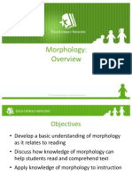 Morphology Overview Slides