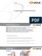 Fisiología de La Digestión y Absorción de Nutrientes Rev