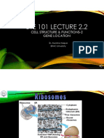 Lecture2.2 CellStructureFunction-2 MHU BracU