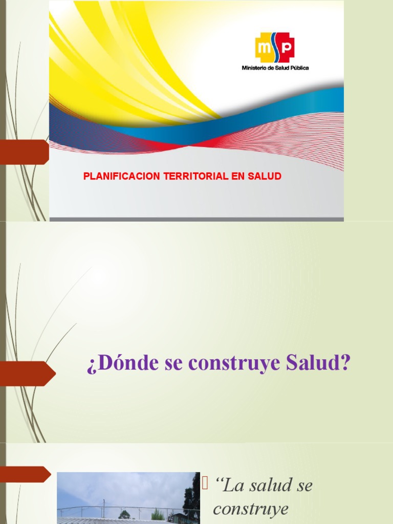 Desafíos en la Organización Territorial de Salud | PDF | Hospital ...