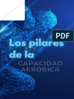 Pilares Capacidad Aerobica - Angel7real