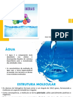 Aula 2. Agua e Sais Minerais 2023.1