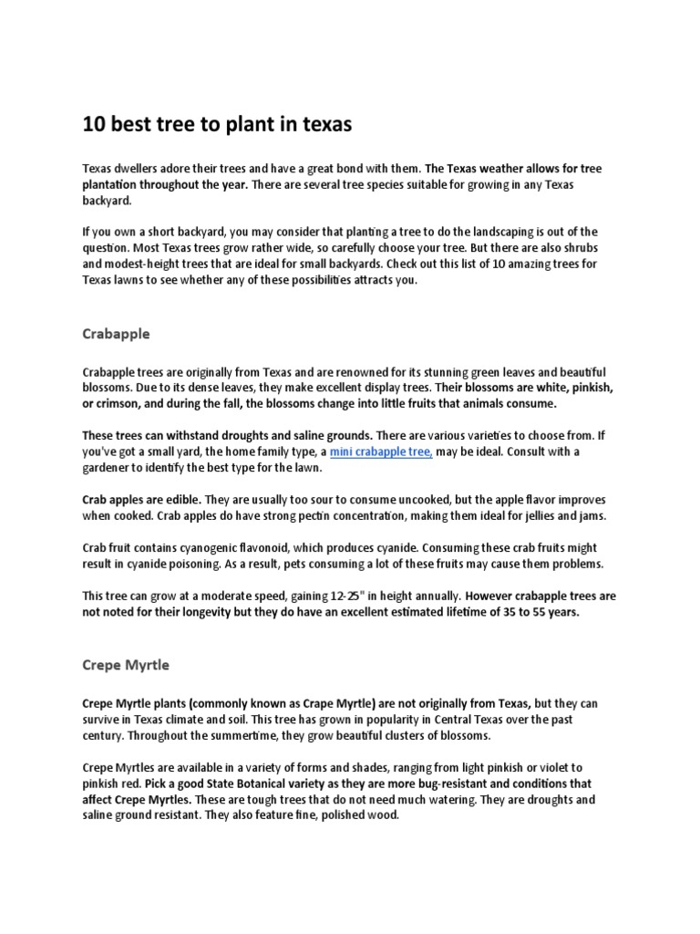 10 best tree to plant in texas PDF Trees Mali