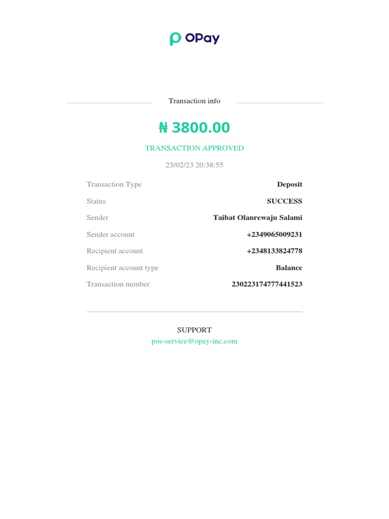 opay-business-receipt-pdf
