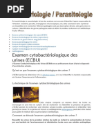 Guide sur l'ECBU et ses techniques | PDF | Appareil urinaire | Urine