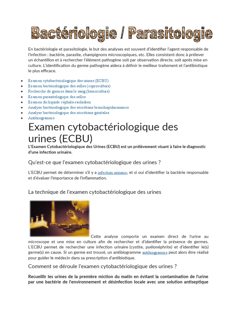 Bactériologie | PDF | Méningite | Infection urinaire