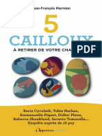 5 Cailloux A Retirer de Votre Chaussure 220090