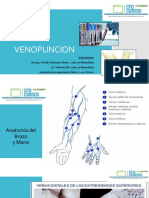 Anatomia Venopuncion CFD