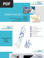 Guía de Venopunción: Pasos y Procedimientos | PDF | Sangre ...