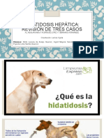 2 - Hidatidosis Slide