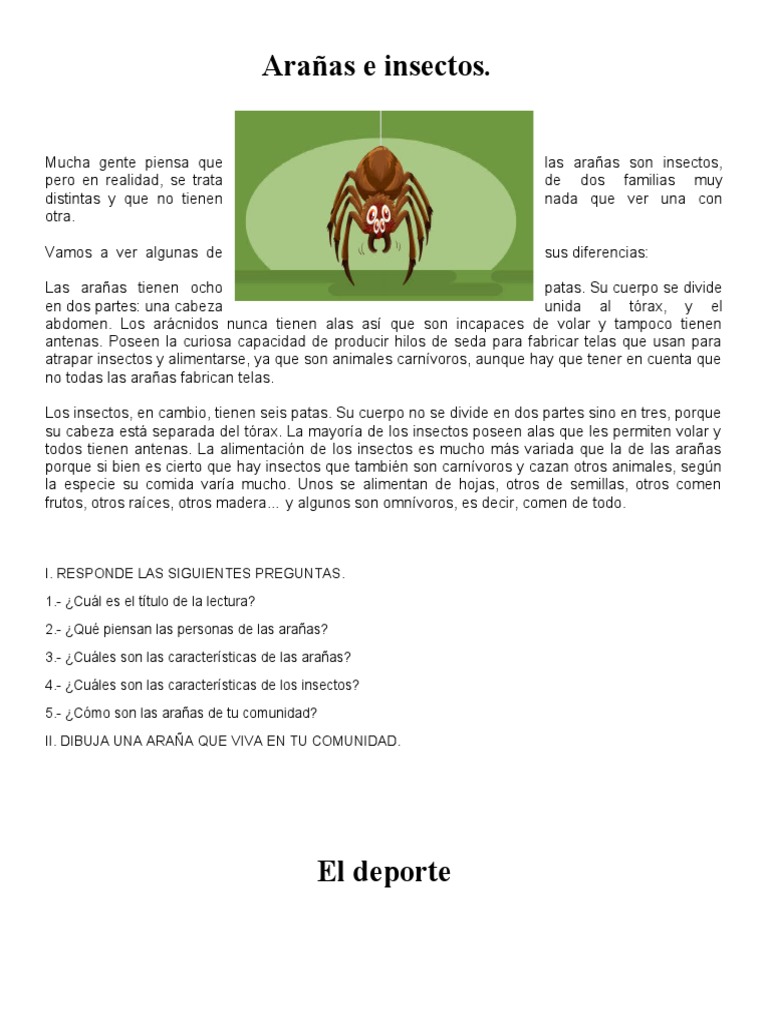 Ejercicios de Español | PDF | tijeras | Araña