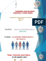 2 Posiciones Anatomicas