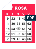 1_ROSA_BINGO-ROJAS STEPHANIE (4)