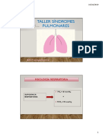 Veterinaria: Taller Síndromes Pulmonares